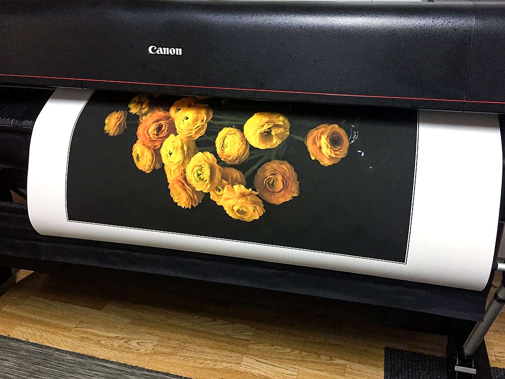 Fotografik & Fine Art Baskı