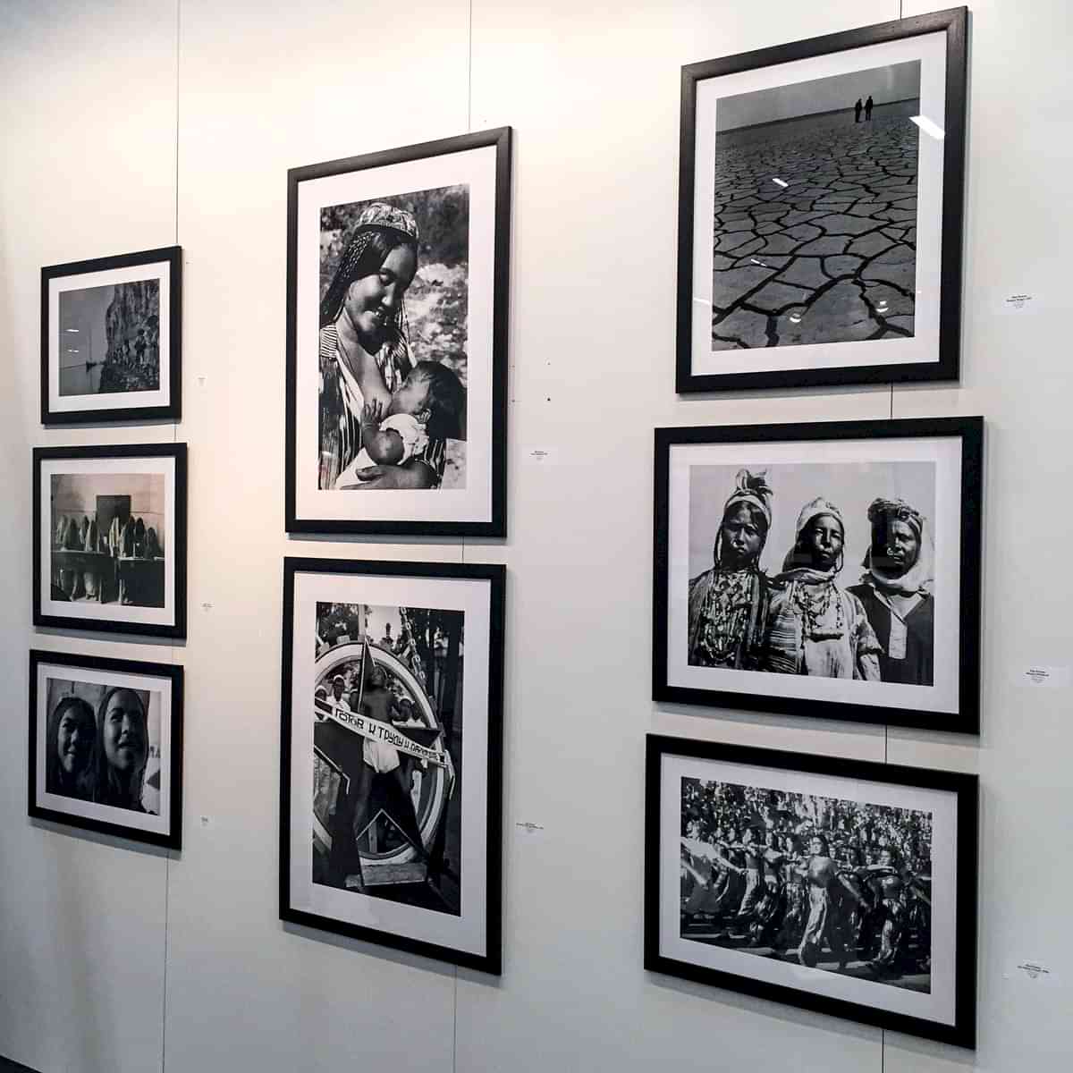 Sergi Hazırlık, Sergi Baskı ve Sergi Kurulum Hizmetleri