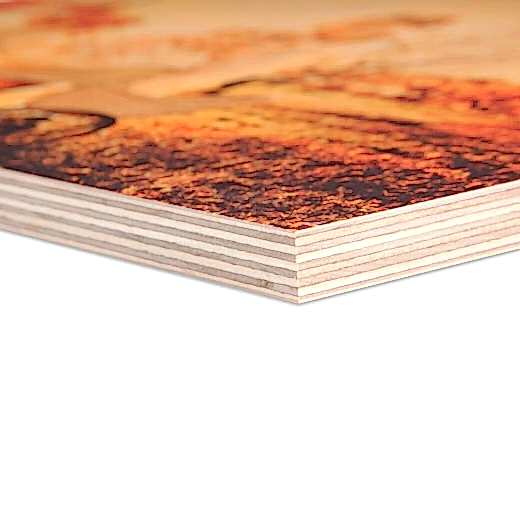 MDF Fotoğraf Uygulama